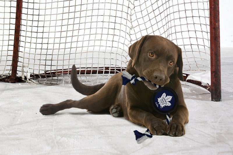 Pets First NHL Toronto Maple Leafs Puck Toy for Dogs & Cats. Play Hockey with Your Pet with This Licensed Dog Tough Toy Reward! - Image 2